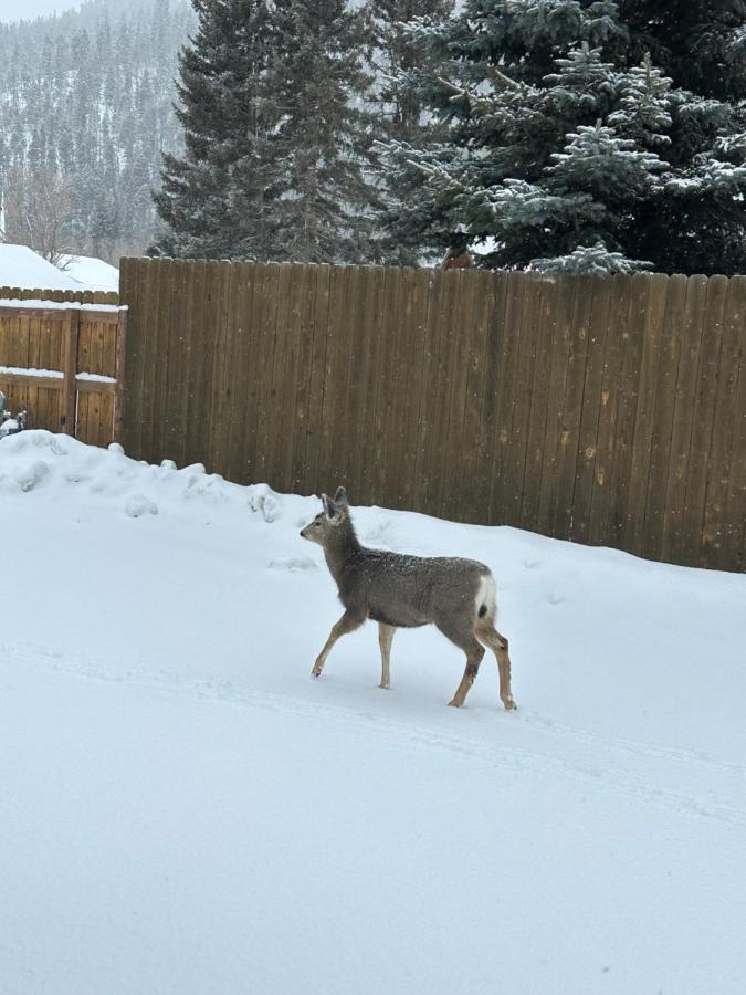 | Deer Lodge