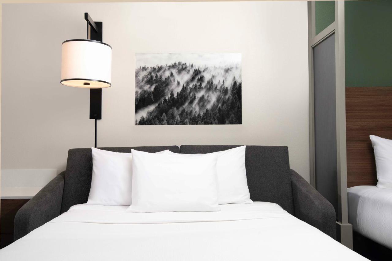 Double Room with Sofa Bed - High Floor at Hyatt Place Denver South/Park Meadows
