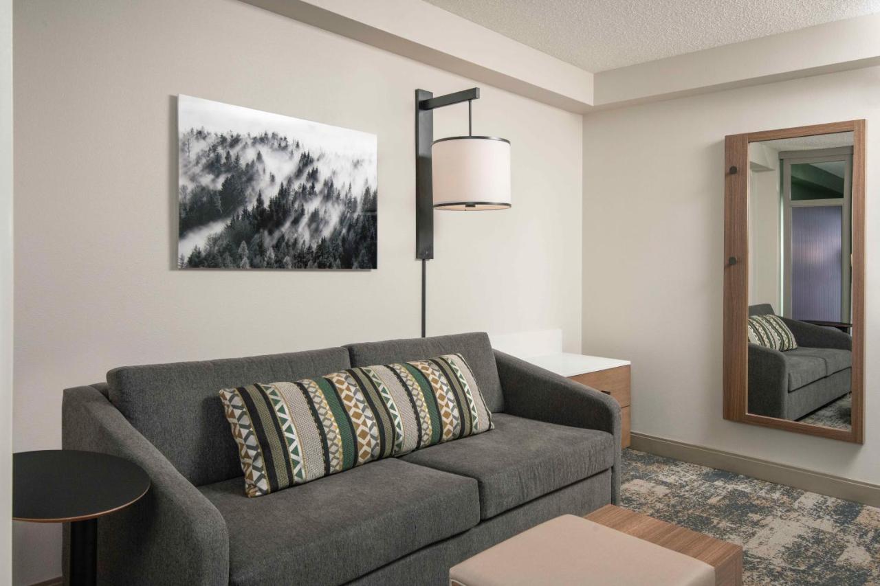 King Room - Disability Access at Hyatt Place Denver South/Park Meadows
