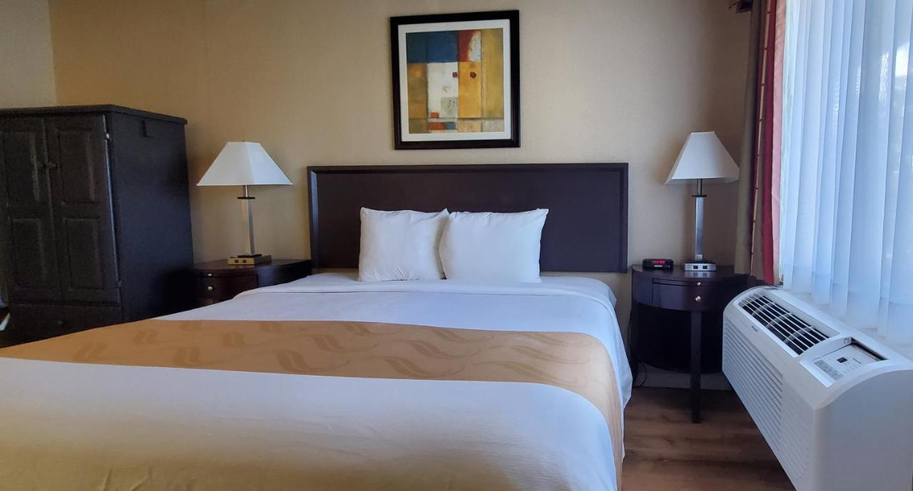 Standard Room, 1 King Bed, Non Smoking at Quality Inn & Suites Anaheim At The Park