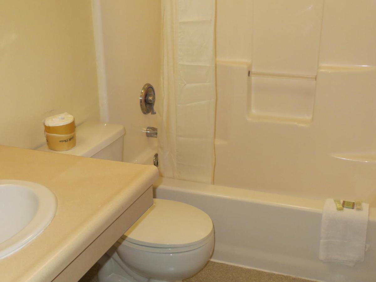 Queen Room - Non-Smoking at Super 8 by Wyndham Hastings