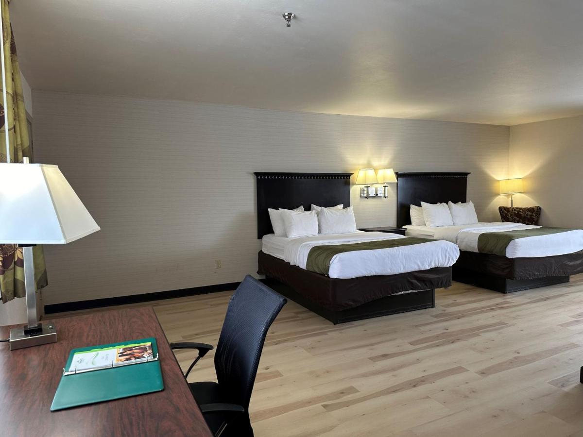 Deluxe Queen Room, Non-Smoking at Wingate By Wyndham Gunnison Near Western Colorado University