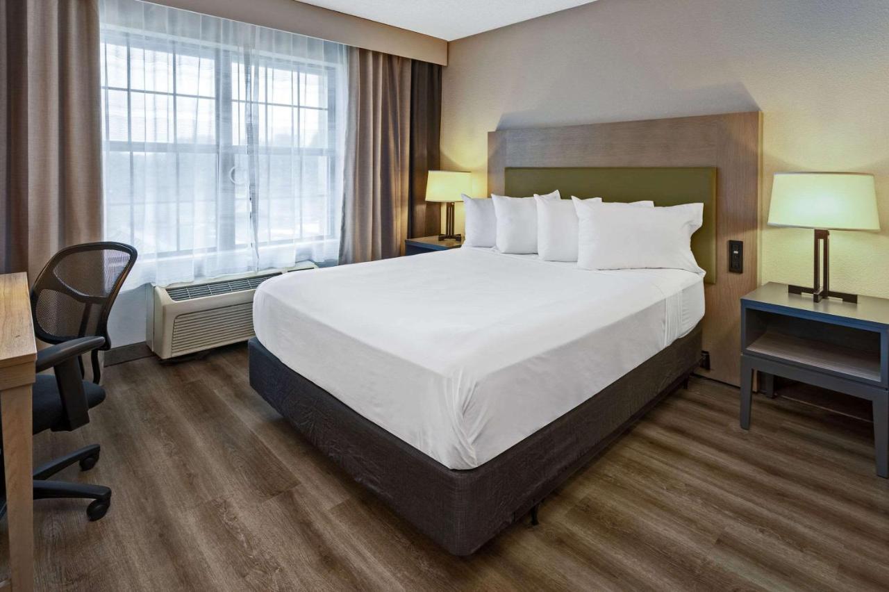 Queen Studio Suite - Disability Access/Non-Smoking at Country Inn & Suites by Radisson, Salisbury, MD