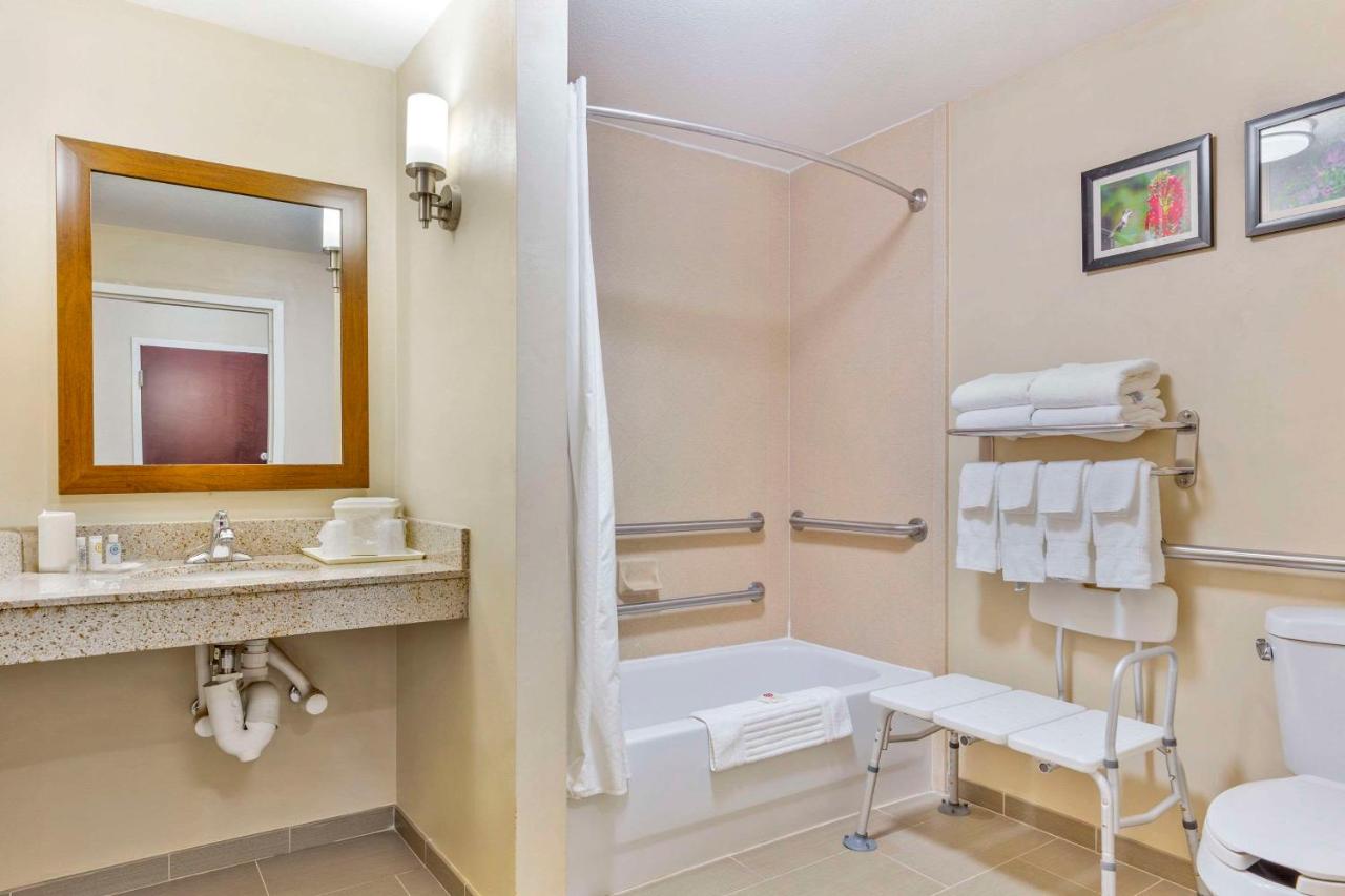 King Suite - Disability Access/Non-Smoking at Comfort Suites Wilson I-95