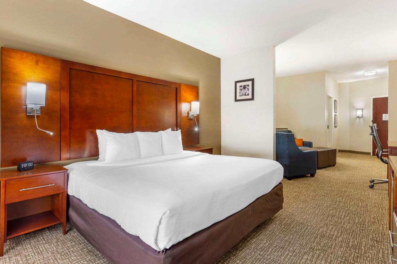 King Suite - Disability Access/Non-Smoking at Comfort Suites Wilson I-95
