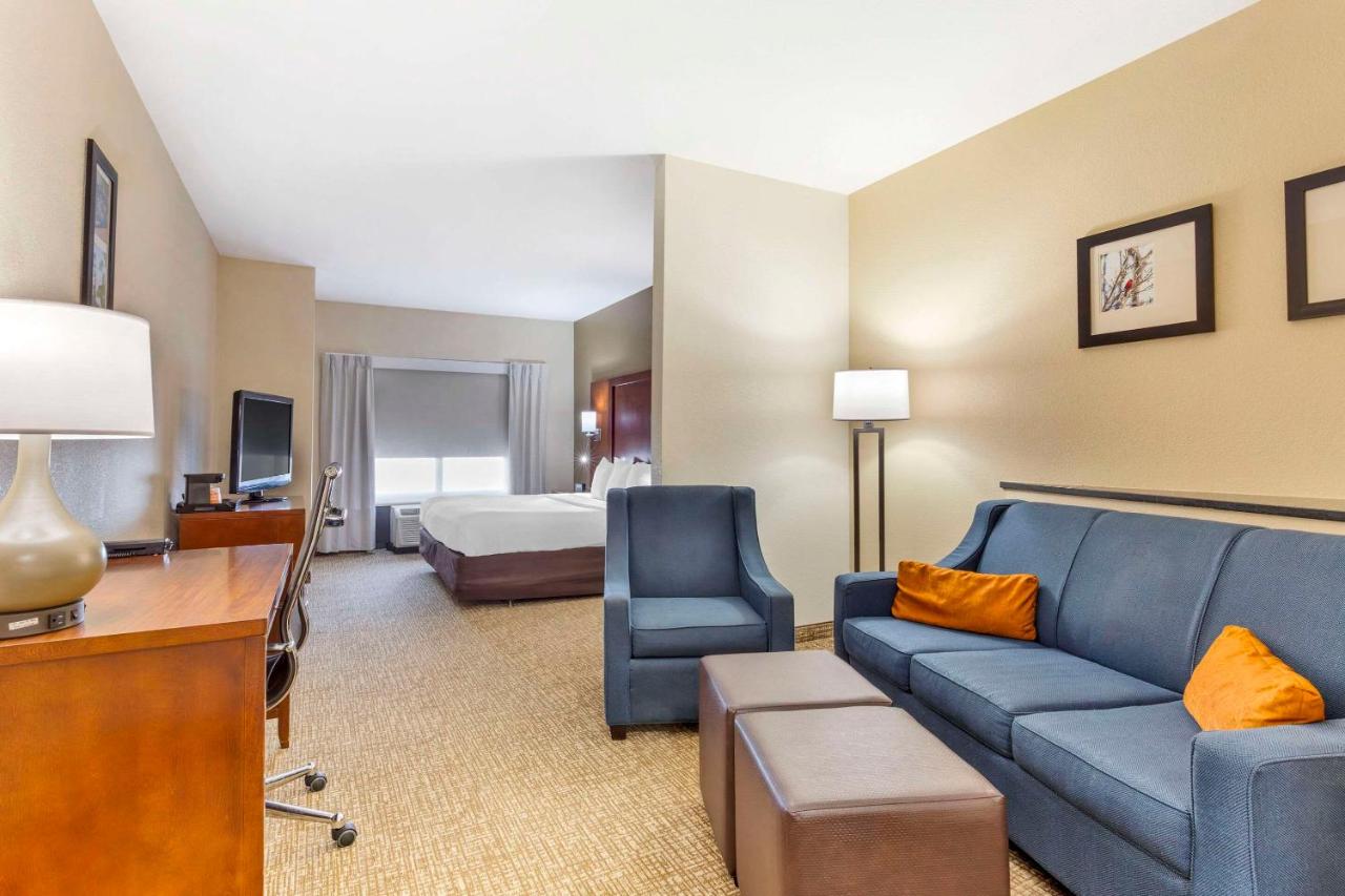 King Suite - Disability Access/Non-Smoking at Comfort Suites Wilson I-95