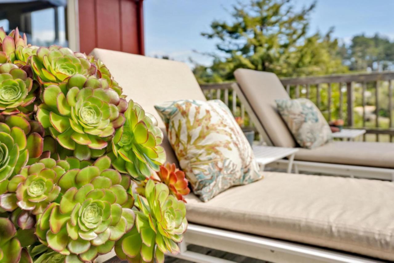 | Bodega Bay Inn