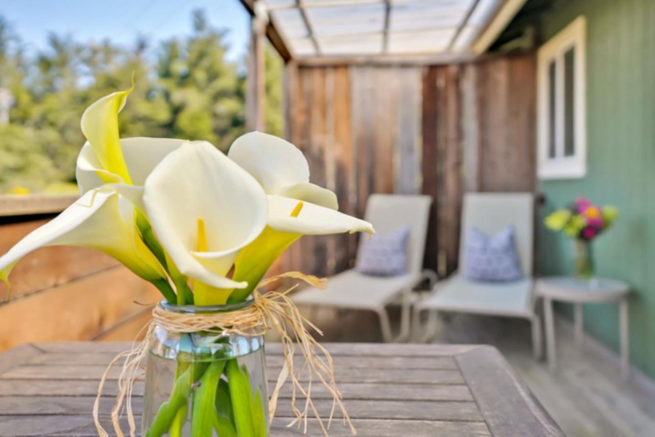 | Bodega Bay Inn