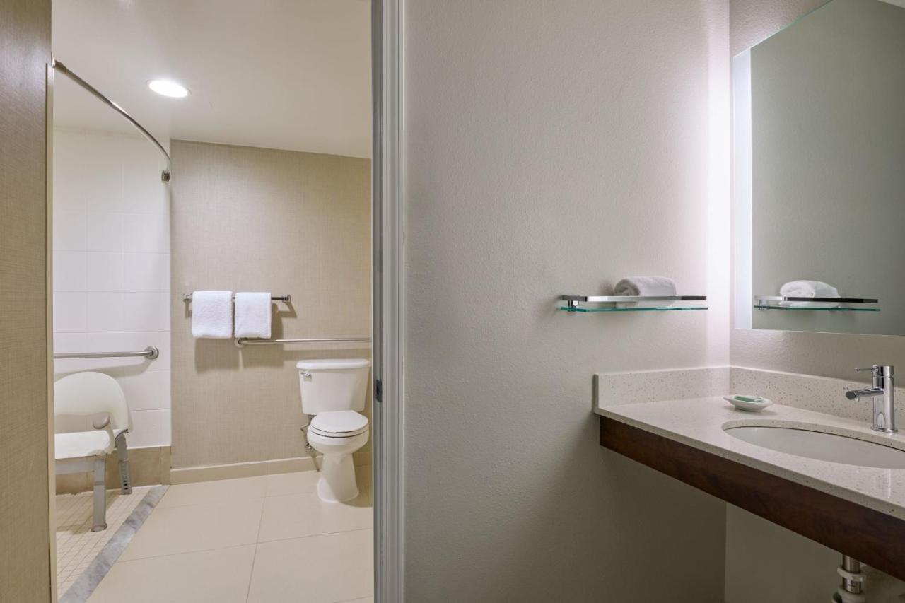 One-Bedroom King Suite with Sofa Bed at Residence Inn - Greenbelt by Marriott