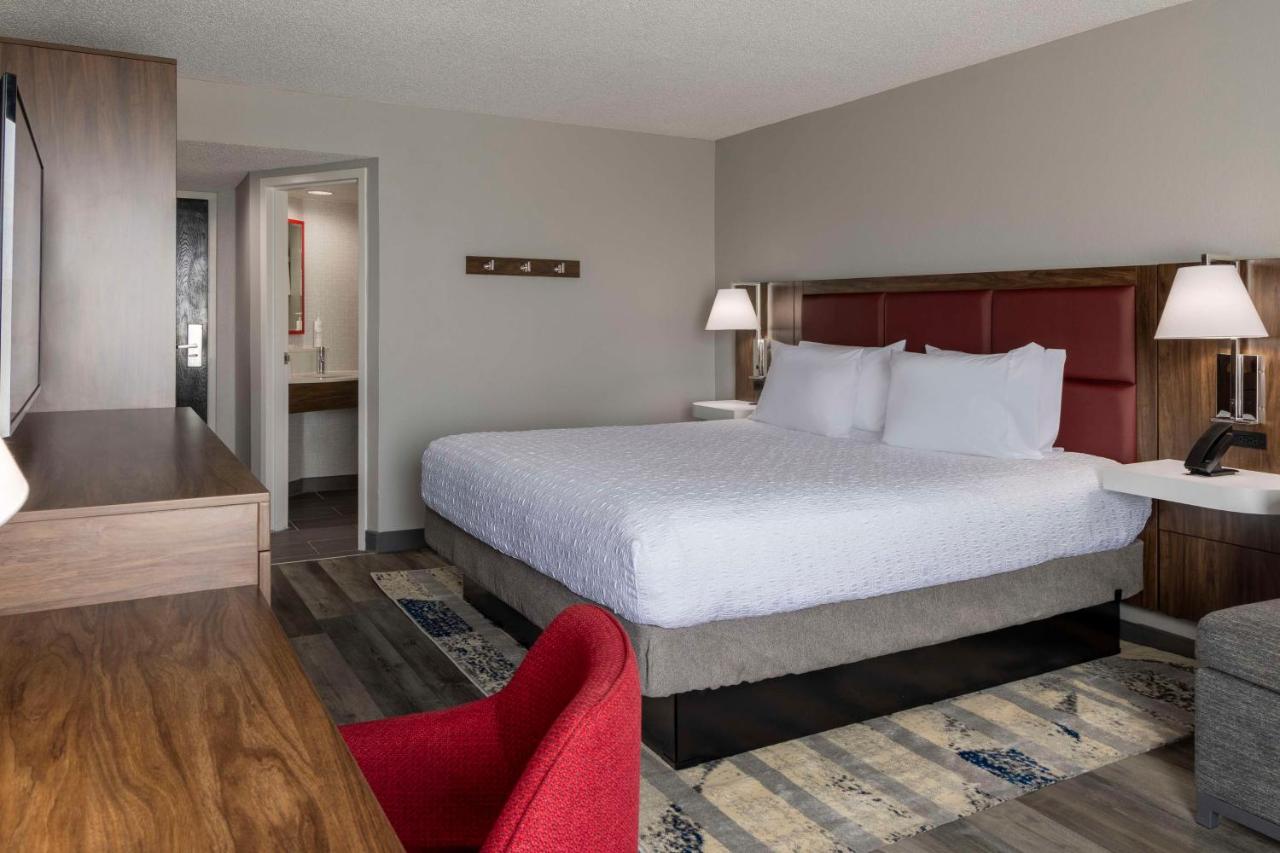 King Room at Hampton Inn Athens
