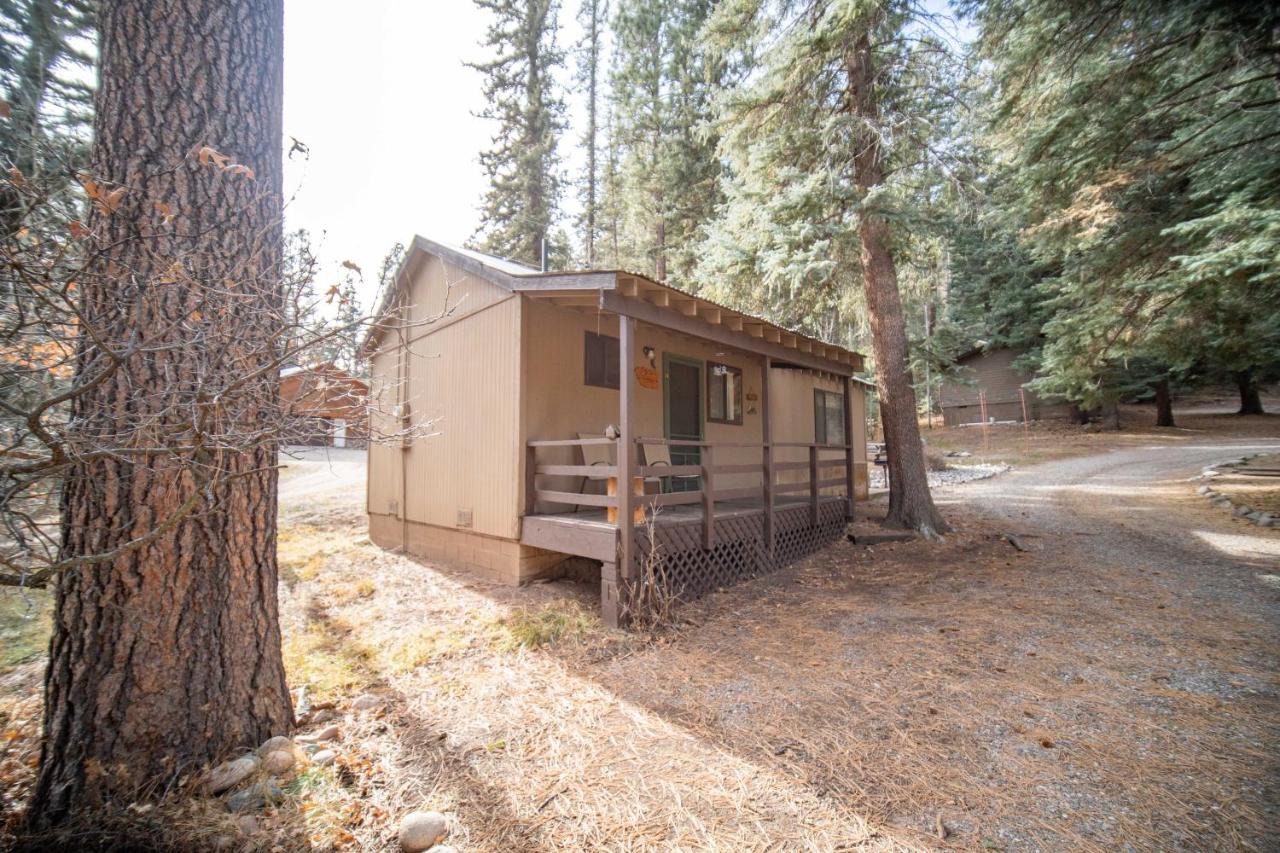 | Bear Paw Lodge