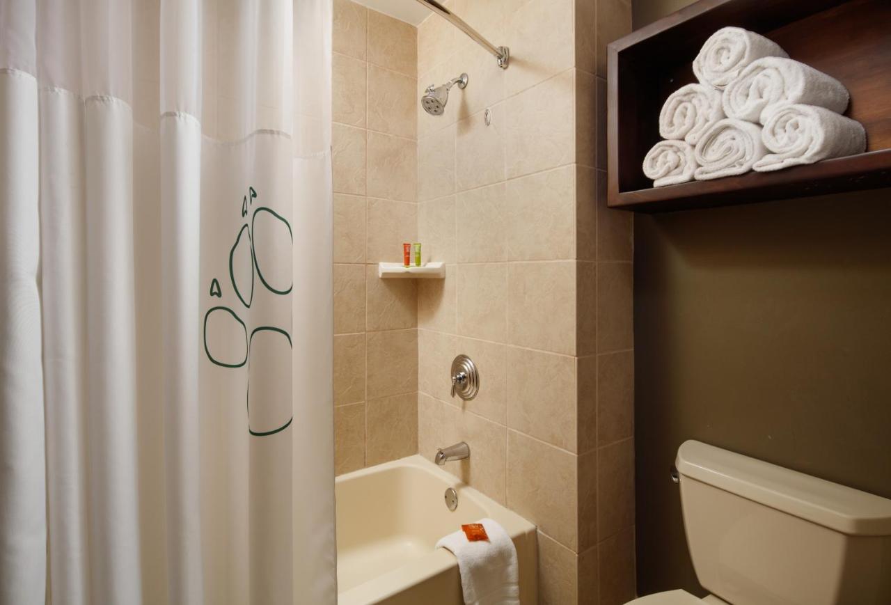 Family Suite at Great Wolf Lodge Atlanta / LaGrange, GA