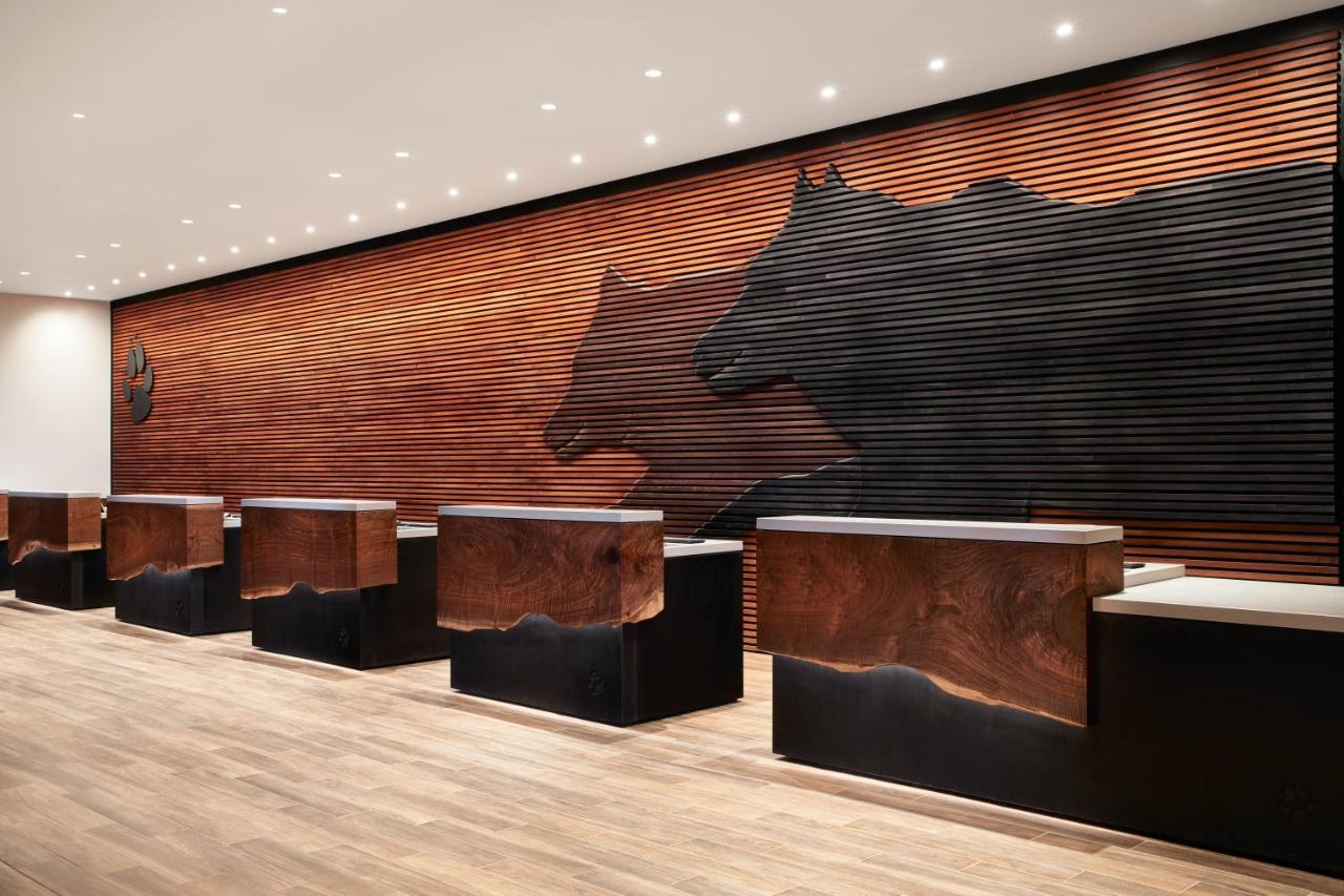 | Great Wolf Lodge Concord