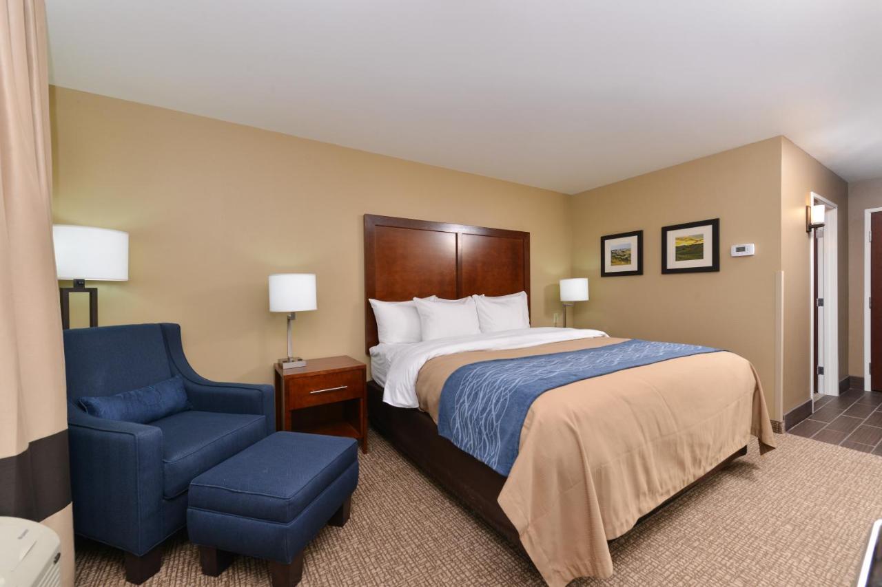King Room - Non-Smoking at Comfort Inn & Suites Mandan - Bismarck