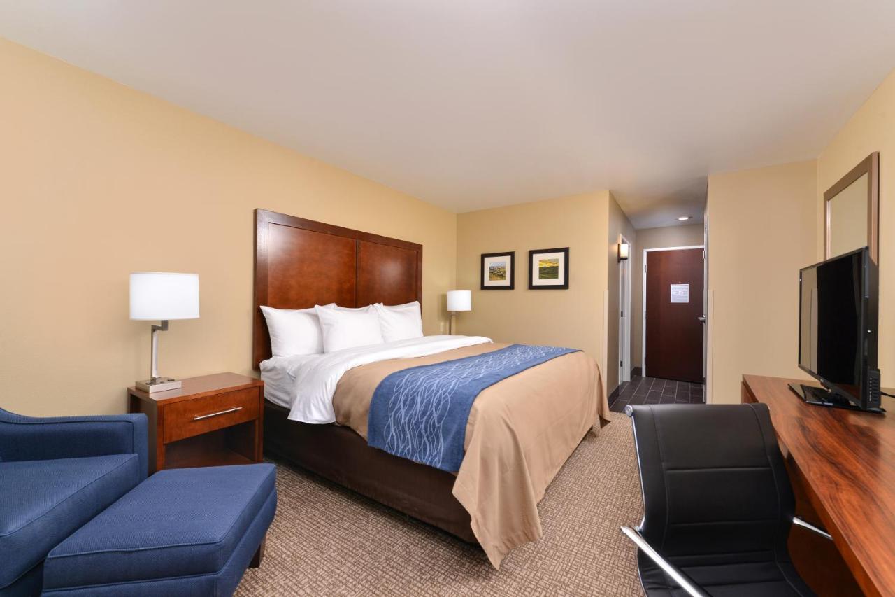 King Room - Non-Smoking at Comfort Inn & Suites Mandan - Bismarck