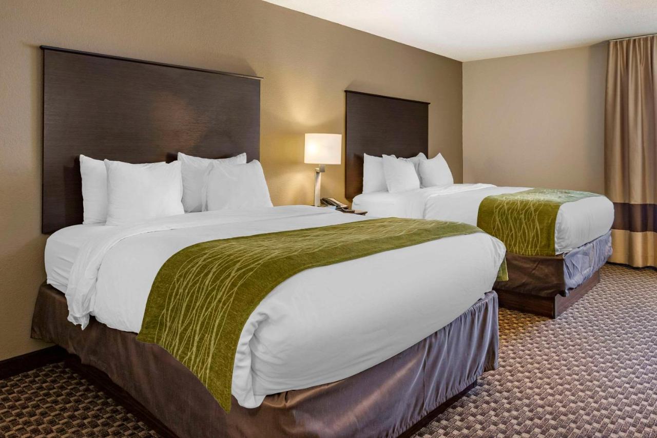 Queen Room with Two Queen Beds and Tub - Accessible/Non-Smoking at Comfort Inn Wings Stadium