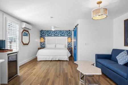  | NEW Underwater Camera at Custom House Inn