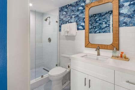  | NEW Underwater Camera at Custom House Inn