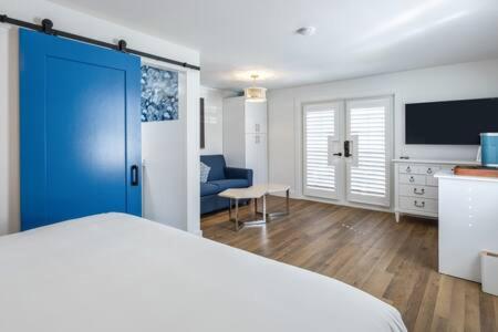  | NEW Underwater Camera at Custom House Inn