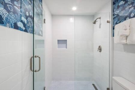  | NEW Underwater Camera at Custom House Inn