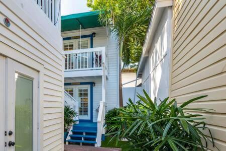  | NEW Underwater Camera at Custom House Inn