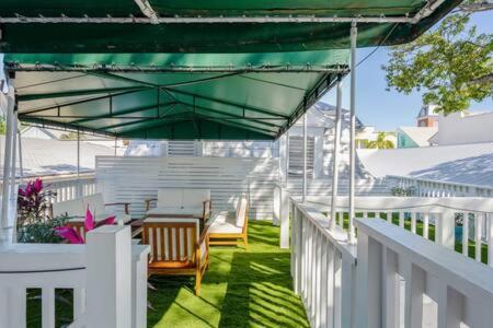  | NEW Chicken Run - Colorful on Duval