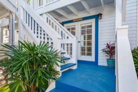  | NEW Chicken Run - Colorful on Duval