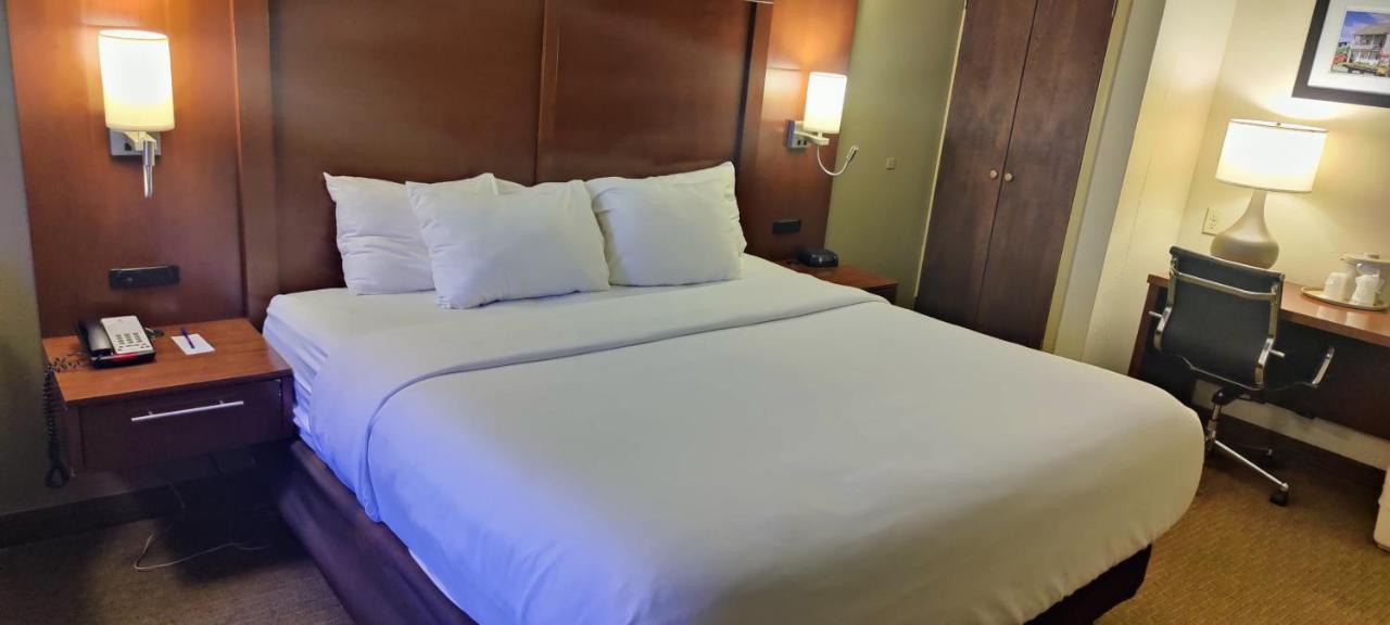 Standard King Room with Sofa Bed - Non-Smoking at Comfort Inn Lancaster at Rockvale