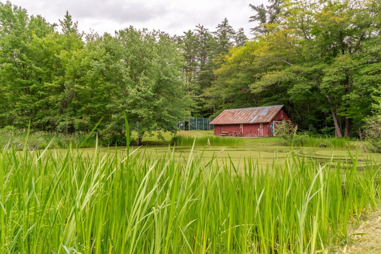 | Cranmore Mountain Lodge Bed & Breakfast
