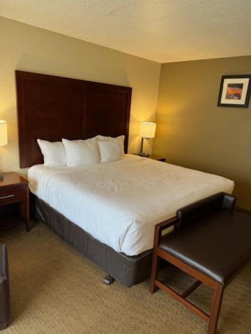 King Room - Pet-Friendly/Non-Smoking at Comfort Inn & Suites Lincoln City