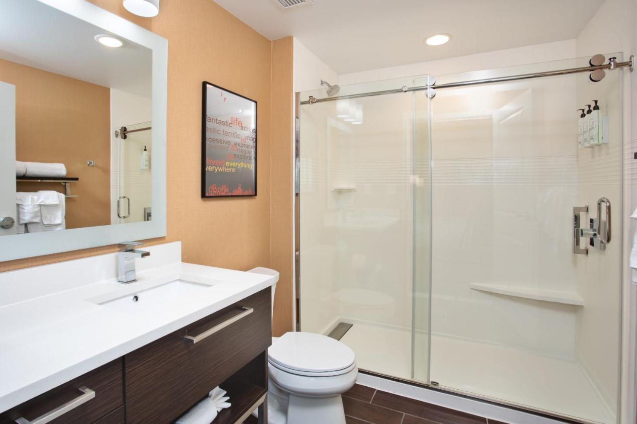 Studio, 1 King, Sofa bed at TownePlace Suites by Marriott Detroit Belleville