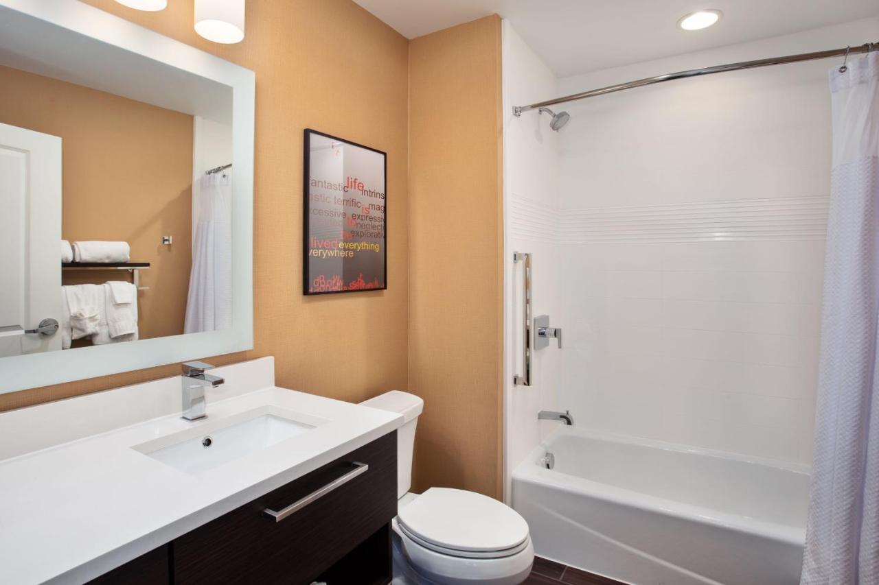 1 Bedroom Suite, 1 Queen, Sofa bed at TownePlace Suites by Marriott Detroit Belleville