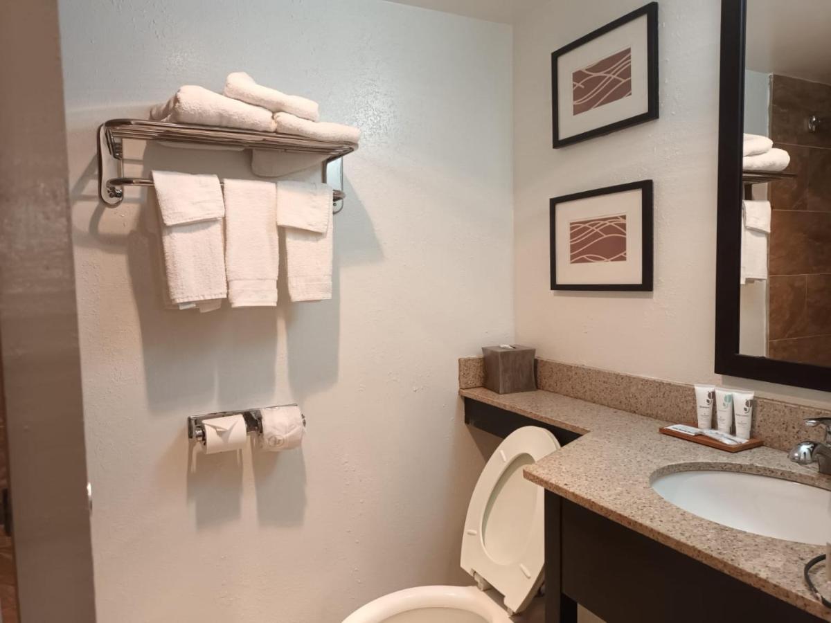 King Room - Non-Smoking at Country Inn & Suites By Radisson, Battle Creek, MI