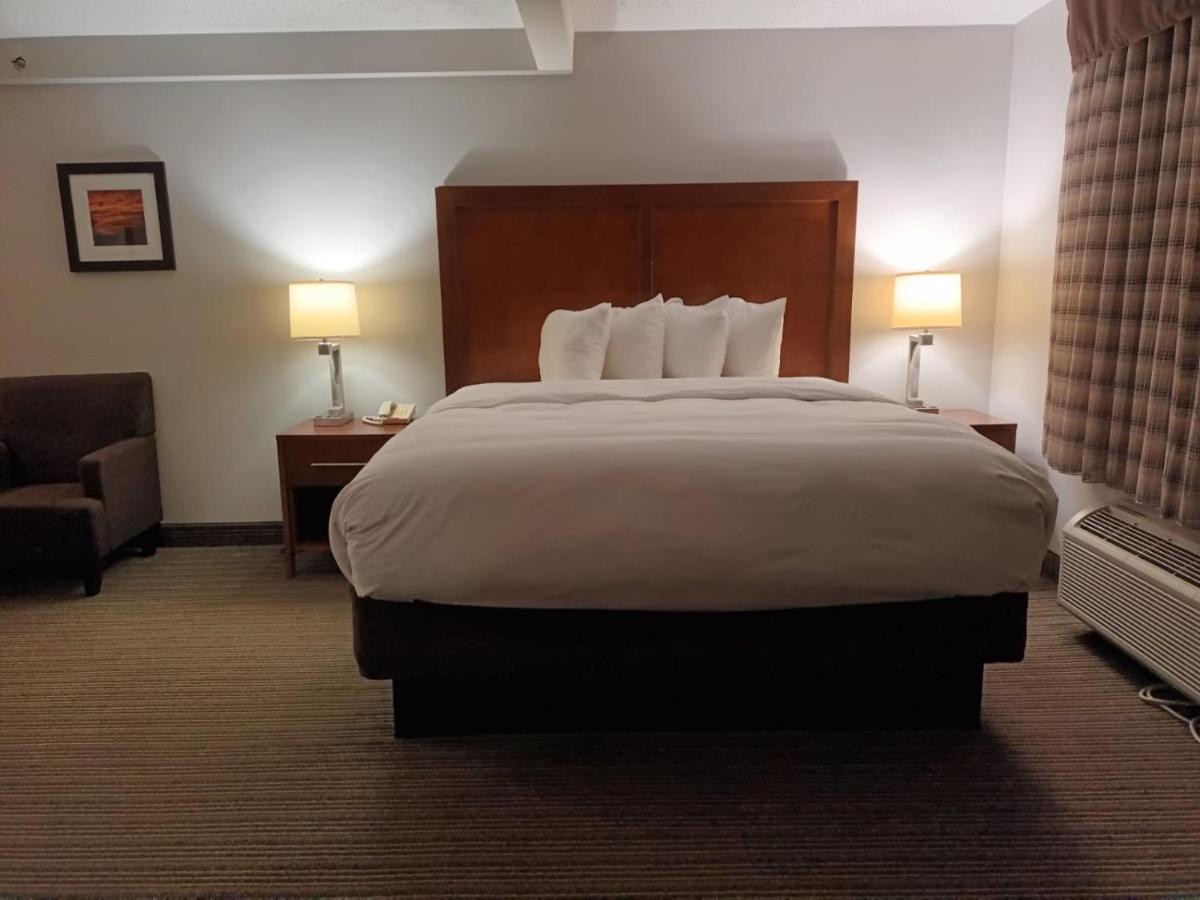 King Room - Non-Smoking at Country Inn & Suites By Radisson, Battle Creek, MI