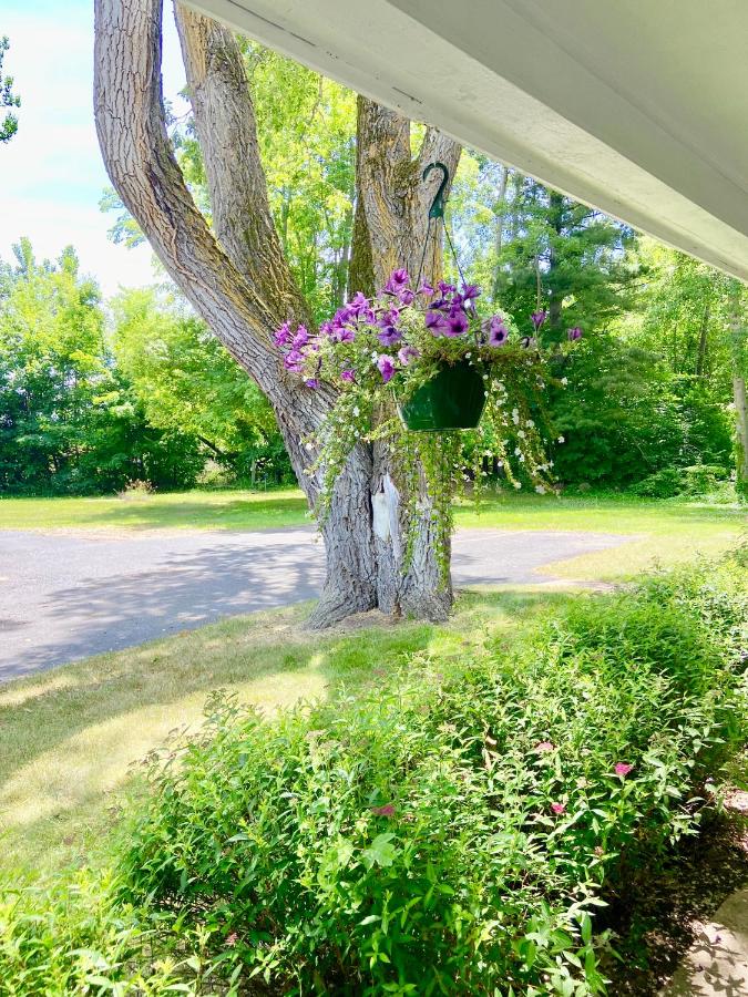 | Elk Rapids Lakeshore Inn