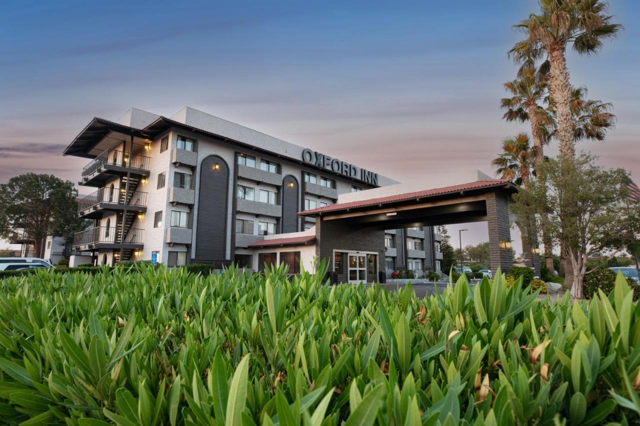 | Oxford Suites Lancaster
