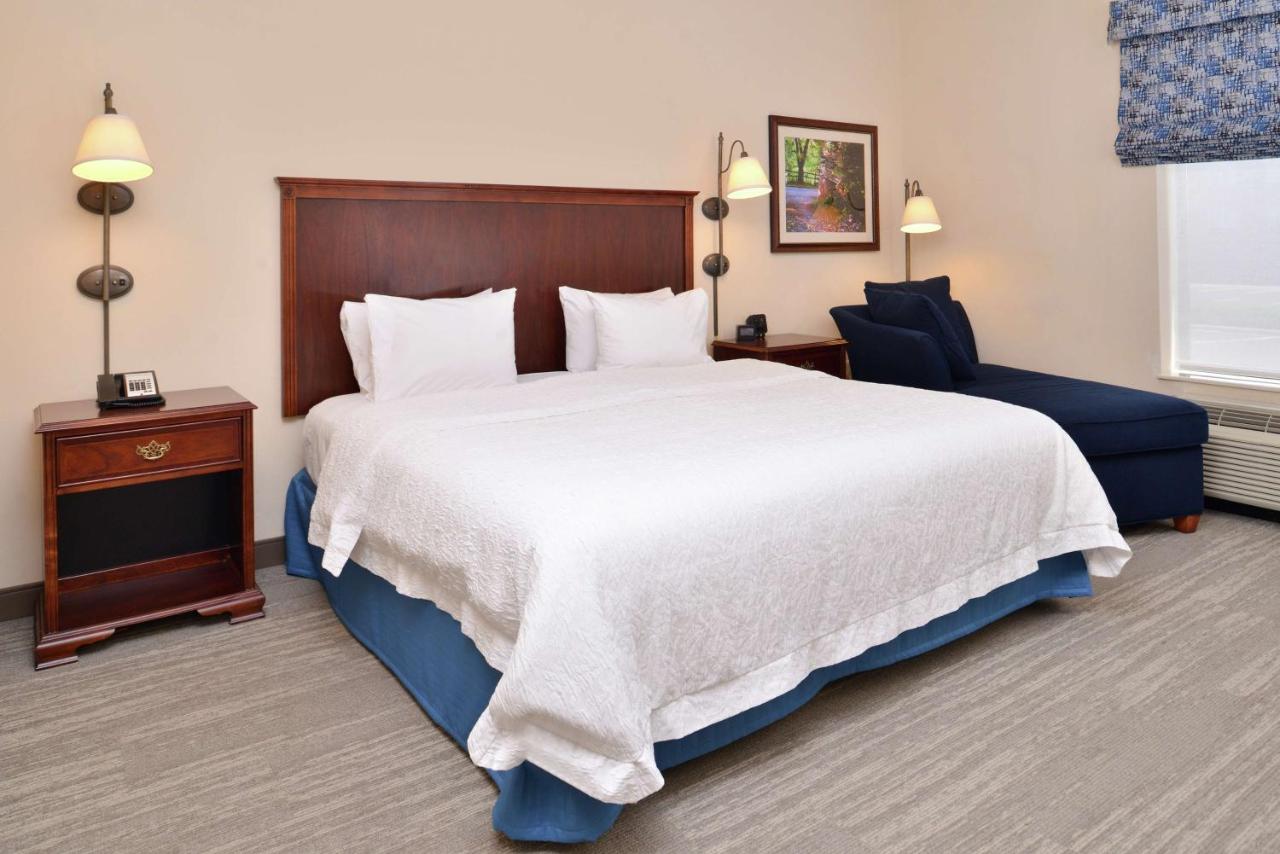 King Room at Hampton Inn Harrisonburg - South