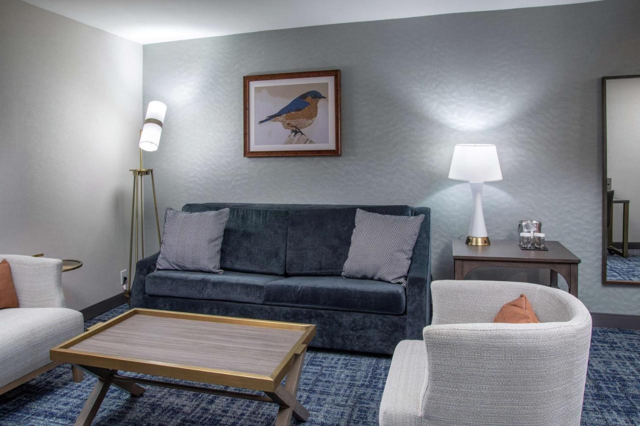 King Studio Suite at DoubleTree by Hilton Hot Springs