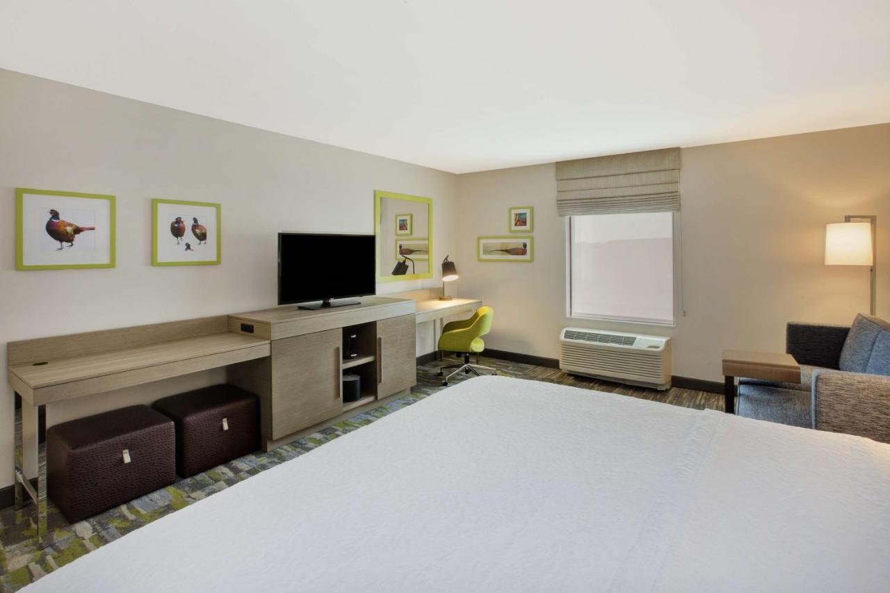King Room with Sofa Bed- Non-Smoking at Hampton Inn & Suites Southwest/Sioux Falls
