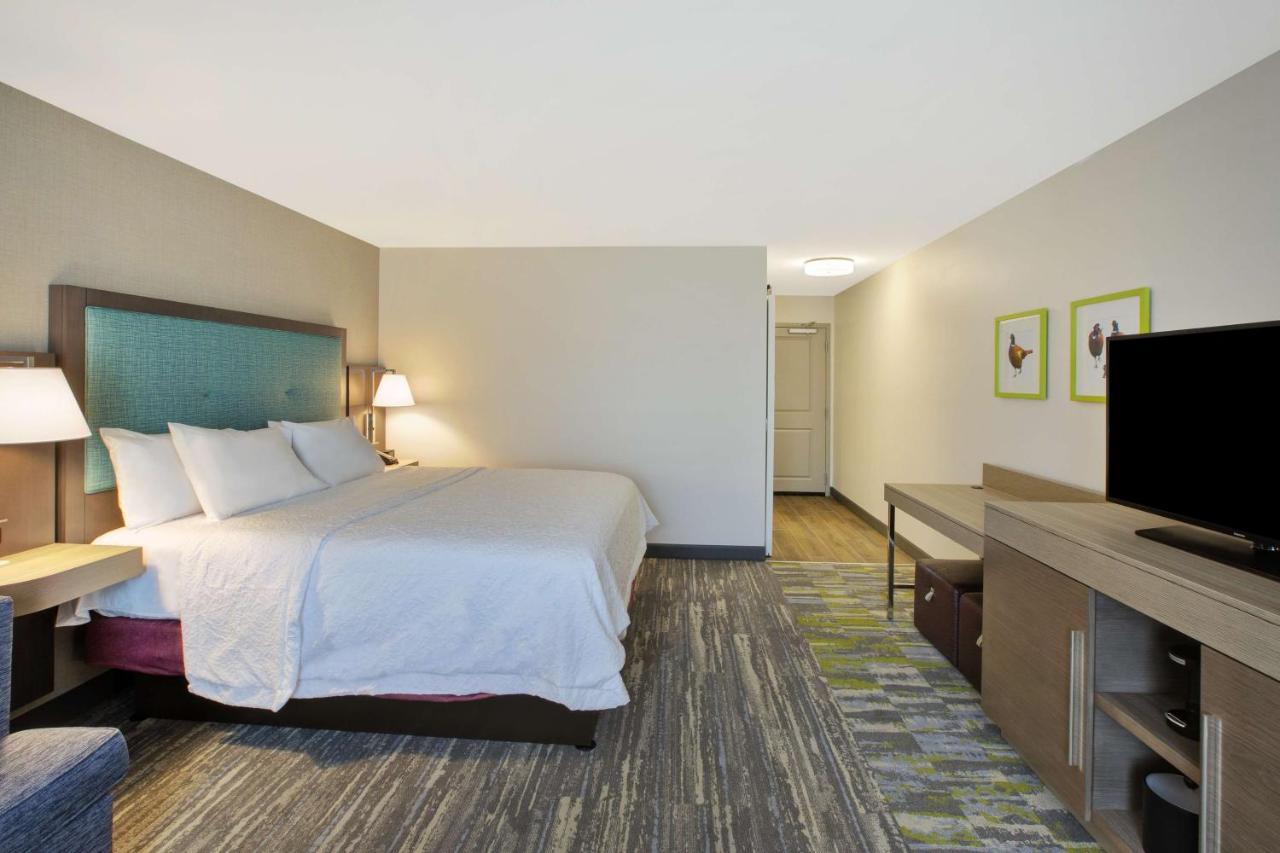King Room with Sofa Bed- Non-Smoking at Hampton Inn & Suites Southwest/Sioux Falls