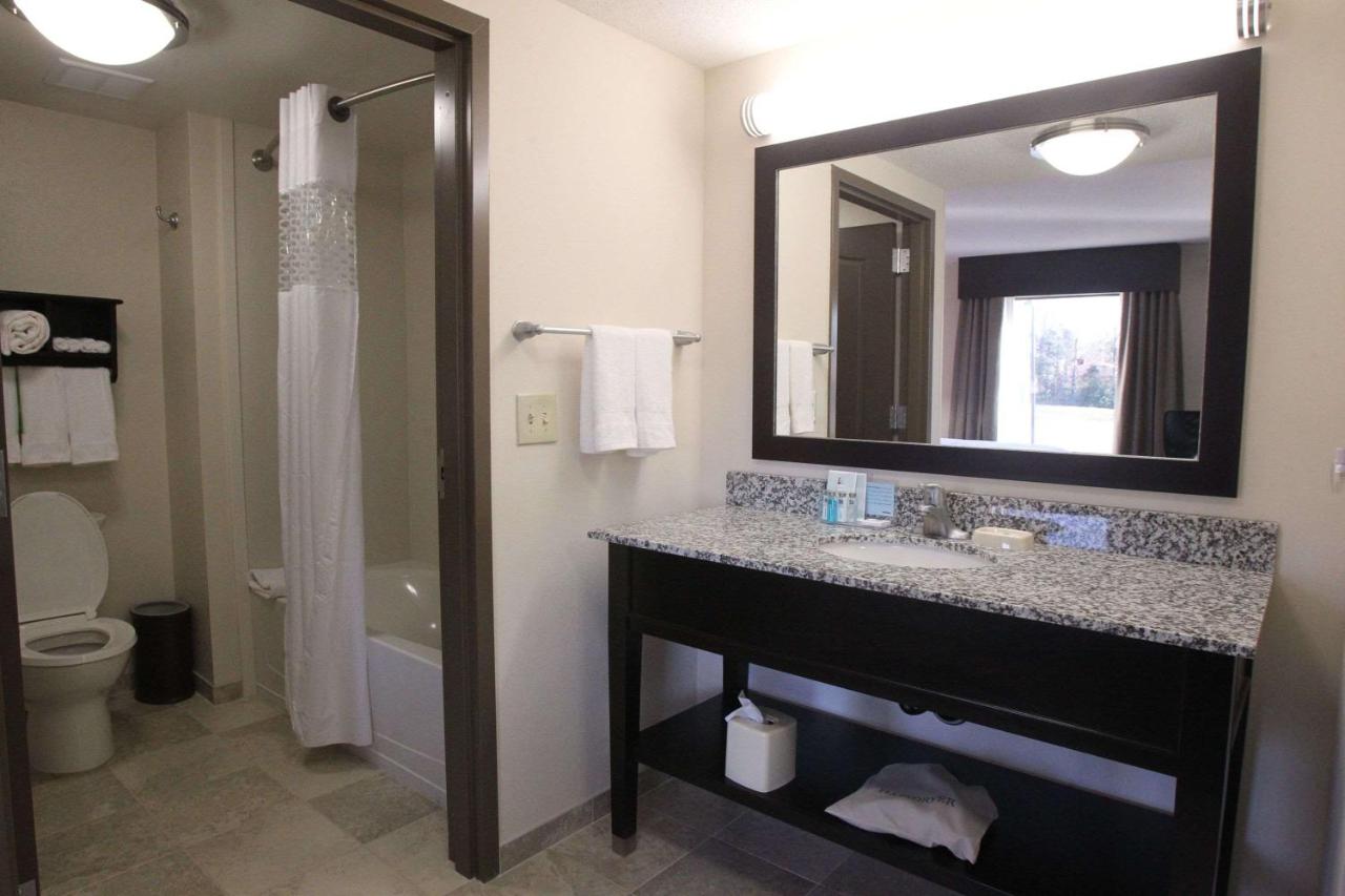 King Studio - Non-Smoking at Hampton Inn & Suites Seneca-Clemson Area