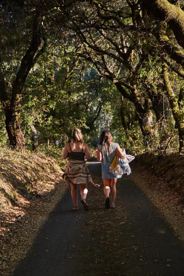 | Mine and Farm, The Inn at Guerneville, CA