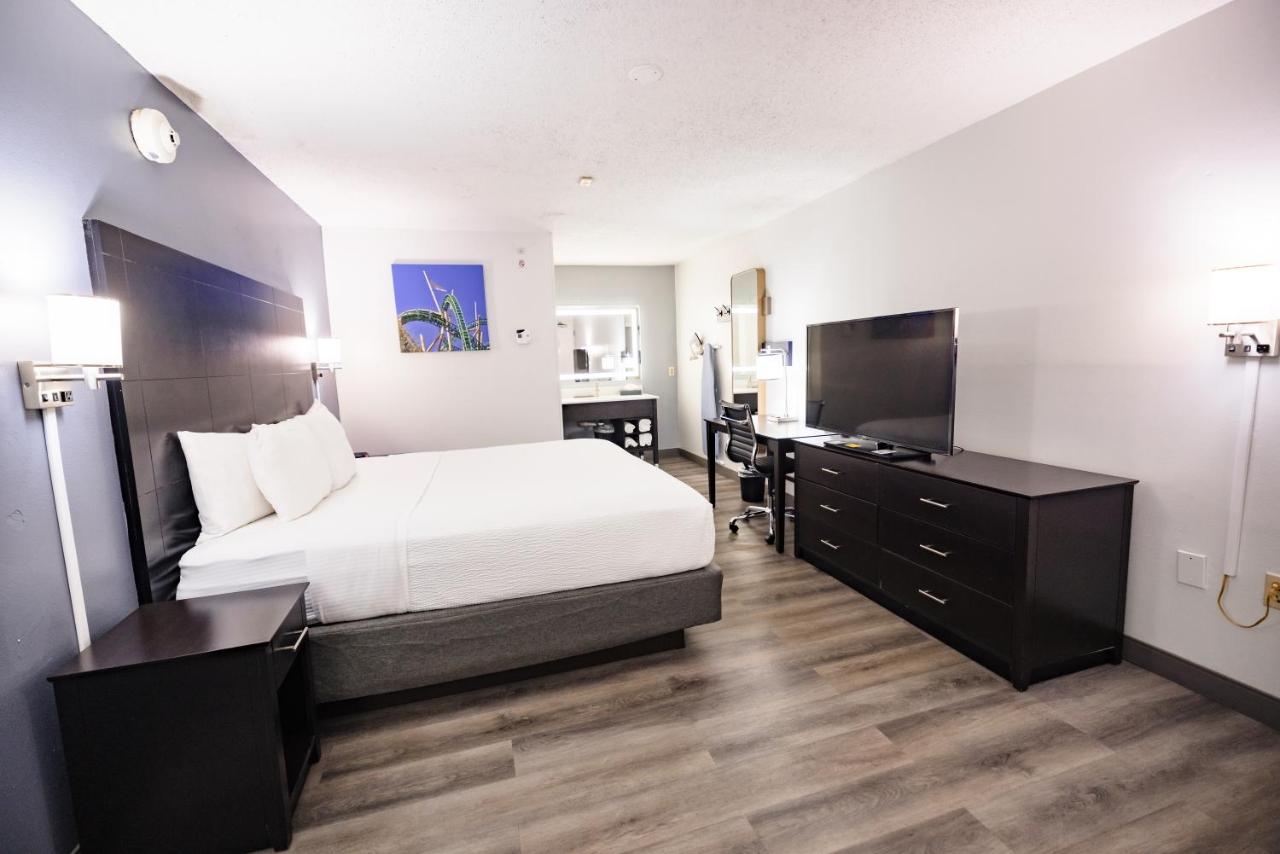 Deluxe King Room - Non-Smoking at La Quinta Inn by Wyndham Tampa Near Busch Gardens