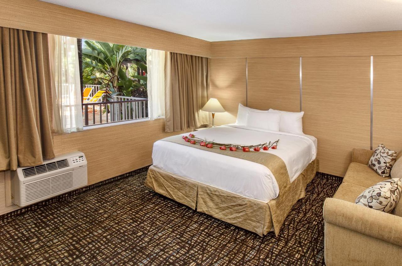 | Ocean Beach Palace Hotel and Suites
