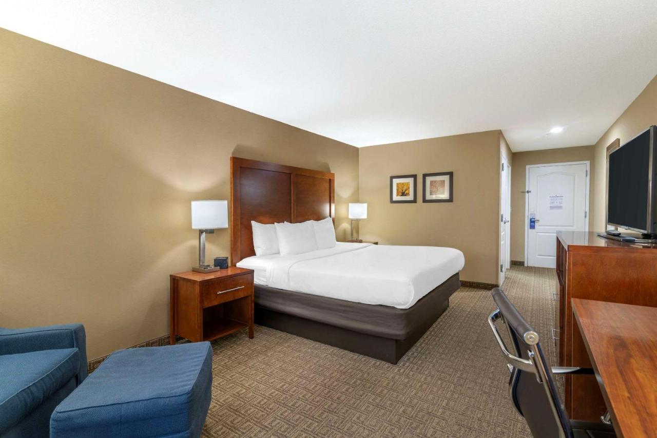 Standard King Room at Comfort Inn & Suites Dover-Portsmouth
