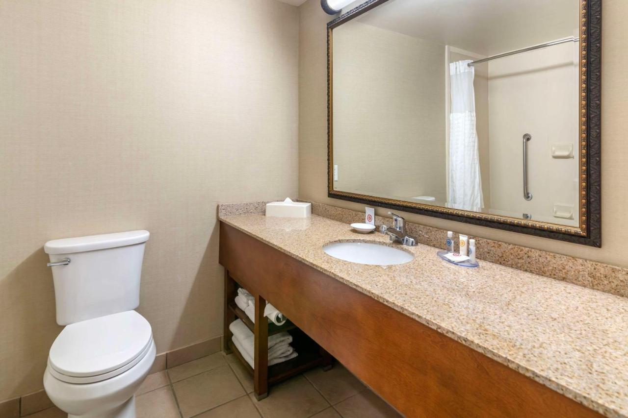 Standard King Room at Comfort Inn & Suites Dover-Portsmouth