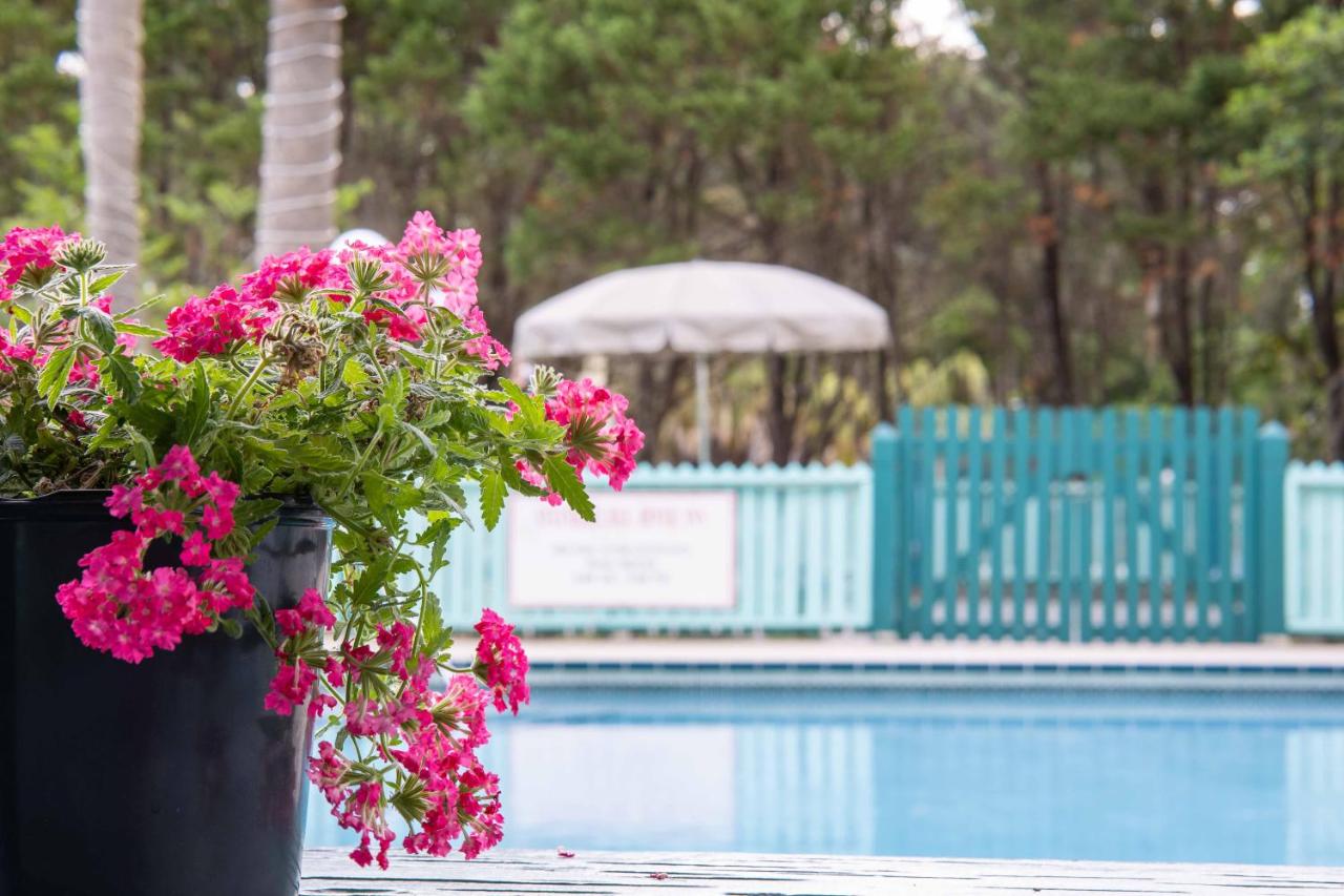 | Steinhatchee River Inn and Marina