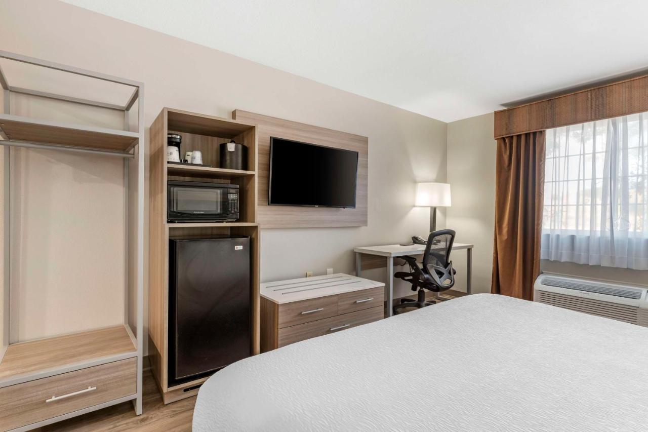 King Room with Roll-in Shower - Disability Access/Non-Smoking at Best Western Plus Vineyard Inn