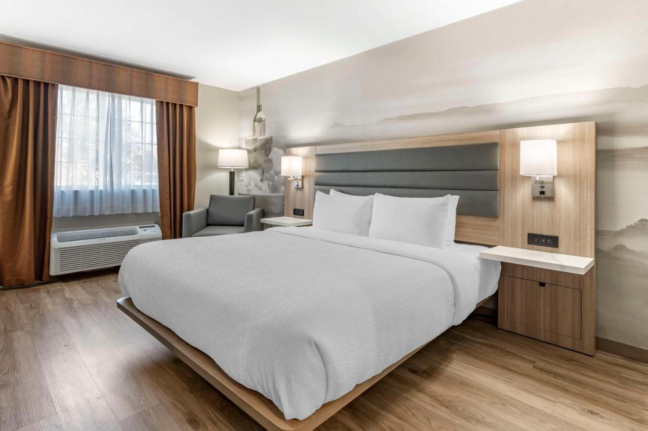 King Room with Roll-in Shower - Disability Access/Non-Smoking at Best Western Plus Vineyard Inn
