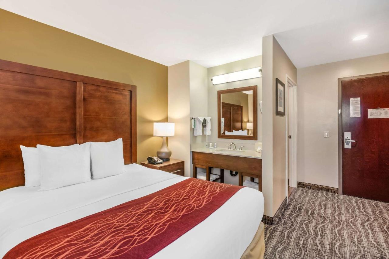 Queen Room - Non-Smoking at Comfort Inn Monterey Park - Los Angeles